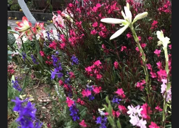 Apartmán Aigeira Seafront 1st Floor *